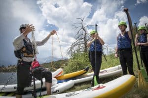 Group of paddleboarders on the shore