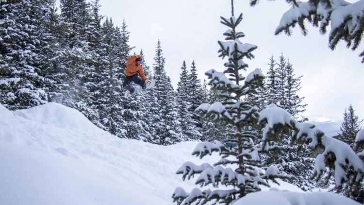 This Winter, Run to the Hills