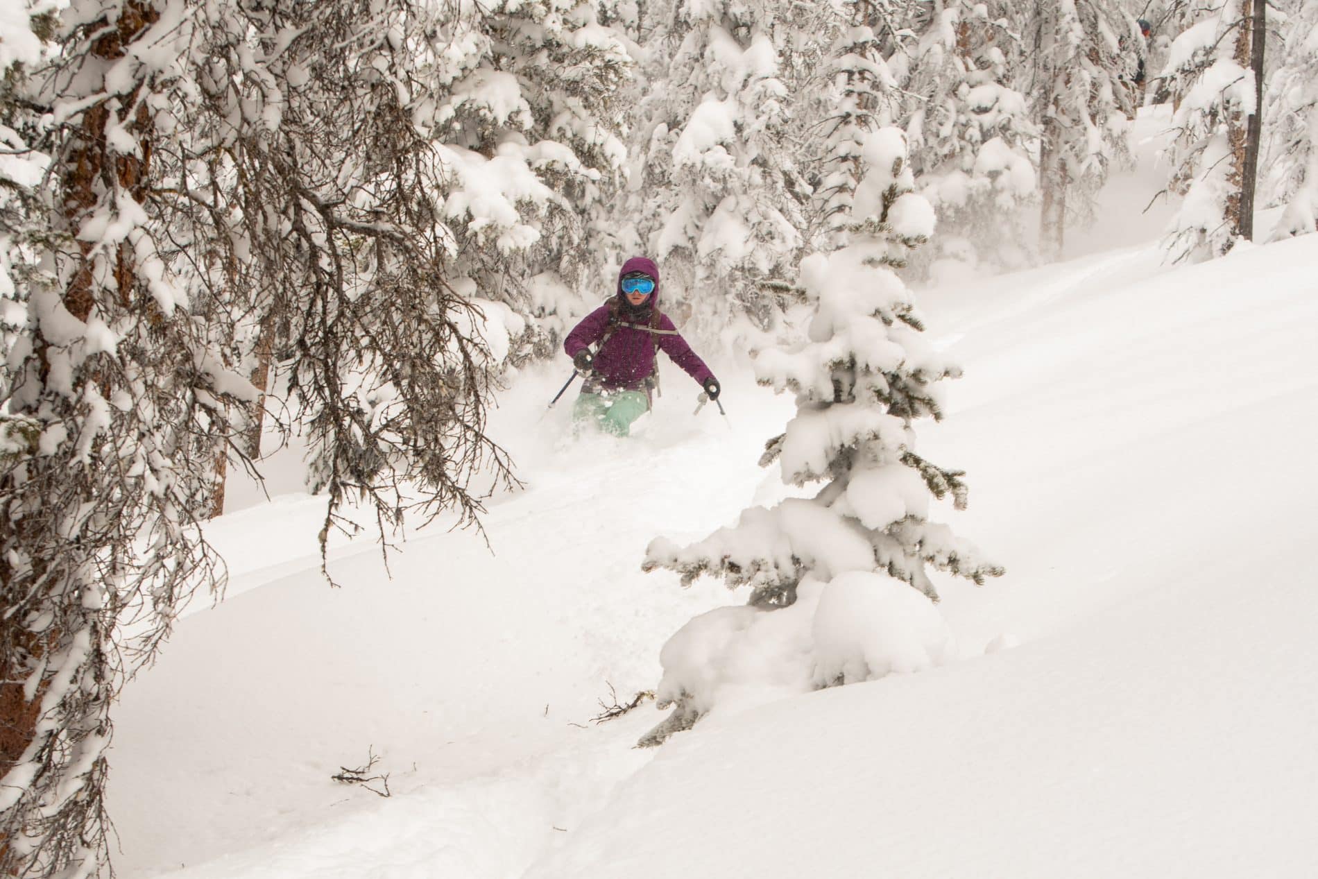 Skiing through powder