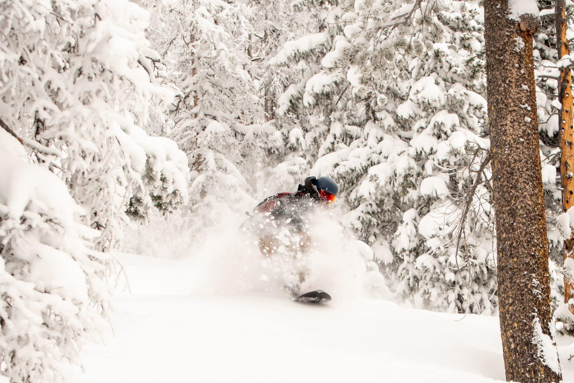splitboarder in powder