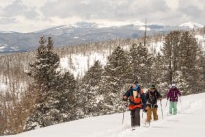 Three backcountry skiers