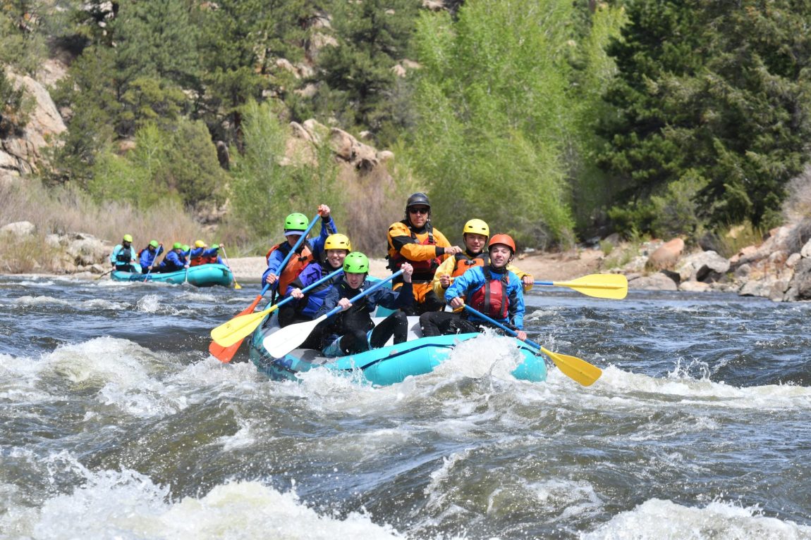 DSC_7795.jpg