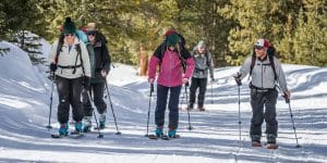 backcountry ski group