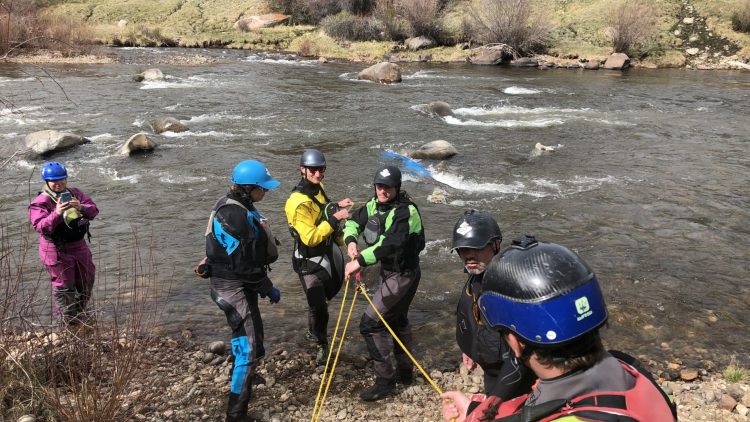 Spring Certification Courses