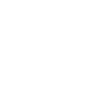 paddleboard icon