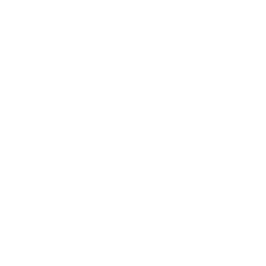 Snowflake icon