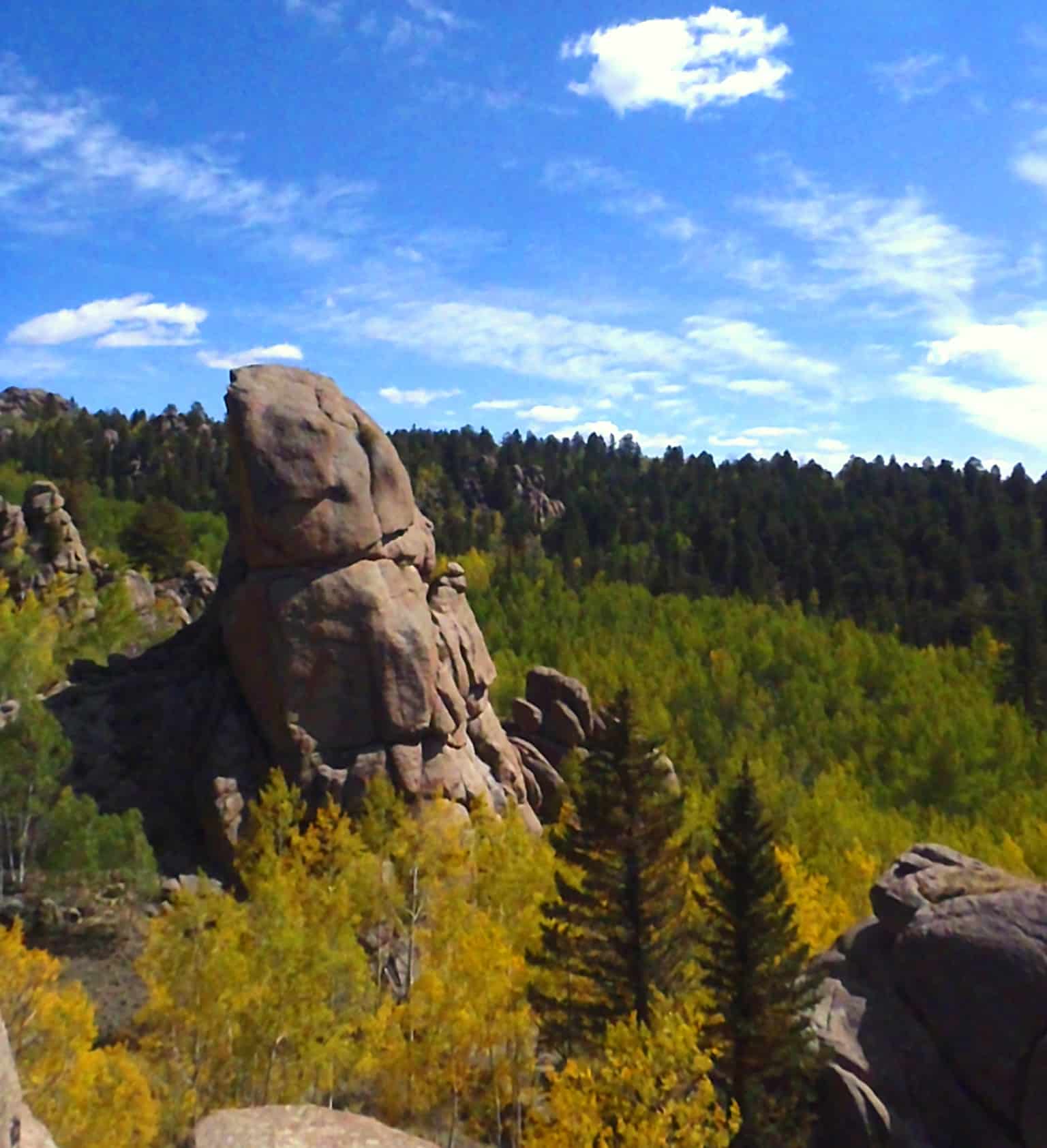 Rock jutting out of a meadow