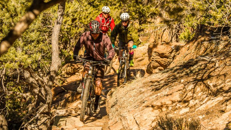 Guided Mountain Bike Tours