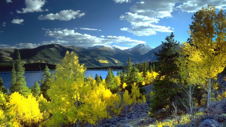 Care for Colorado